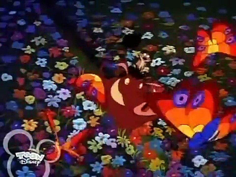 Timon $$ Pumbaa - Ep18c HD Watch