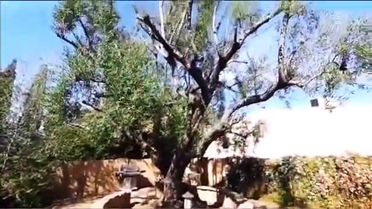 Treehouse Masters - Se2 - Ep19 HD Watch