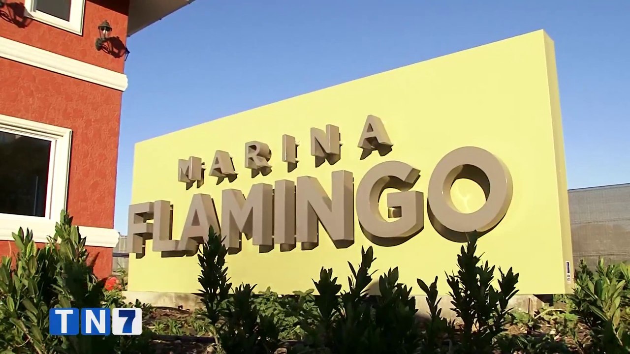 tn7-marina-flamingo-190223