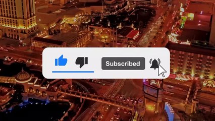 Times Honey Badgers Defeated BIG Predators