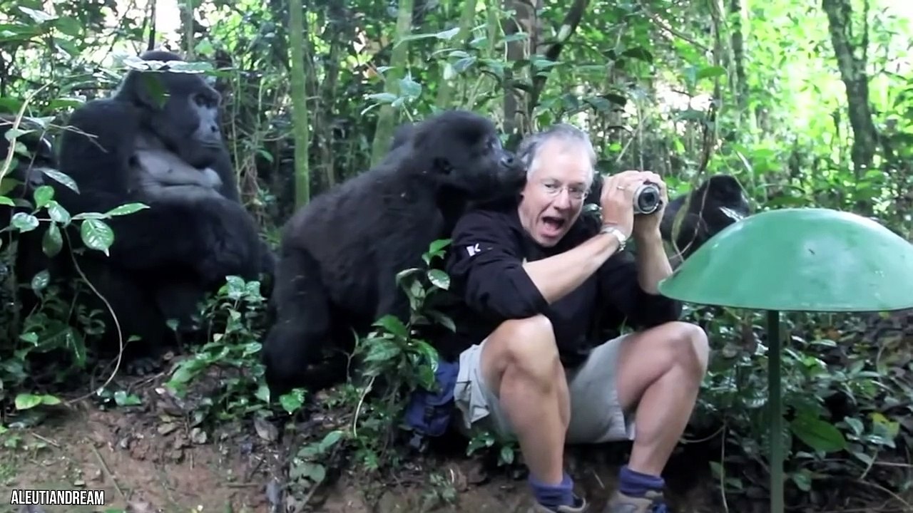 30 Deadly Animals Caught Being Friendly
