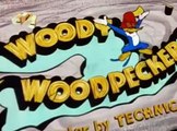 Woody Woodpecker Woody Woodpecker E093 – Woodpecker in the Moon