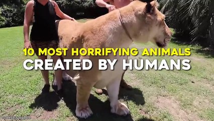 10 Most Horrifying Animals Created By Humans