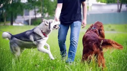 15 Things You Will See For The First Time In Your Life