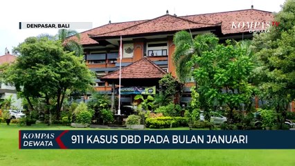 Januari 2023, Demam Berdarah Di Bali Capai 911 Kasus