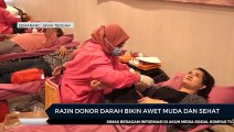 Rajin Donor Darah Bikin Awet Muda dan Sehat