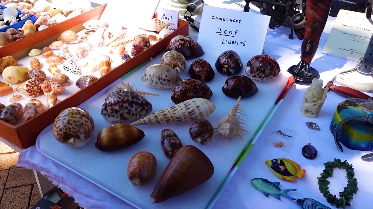 Tchia - Our Journey With Tchia People and Culture - PS5 & PS4 Games