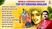 Mridul Krishna Shastri top hit krishna bhajan ~ Best krishna Bhajan  ~  राधे कृष्णा भजन  ~ Krishna Bhajan