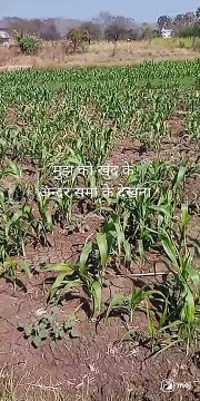 Dard bhari shayari , tute dil ki shayari ,bewafai shayari w