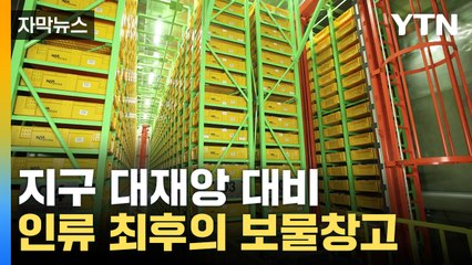 [자막뉴스] 폭격에도 멀쩡...국내에 숨은 현대판 '노아의 방주' / YTN