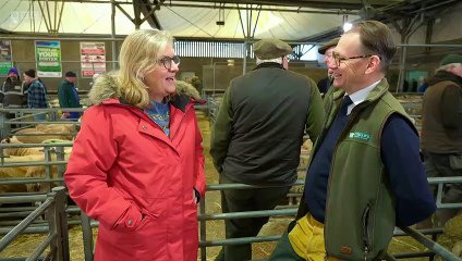 Countryfile - Livestock Market