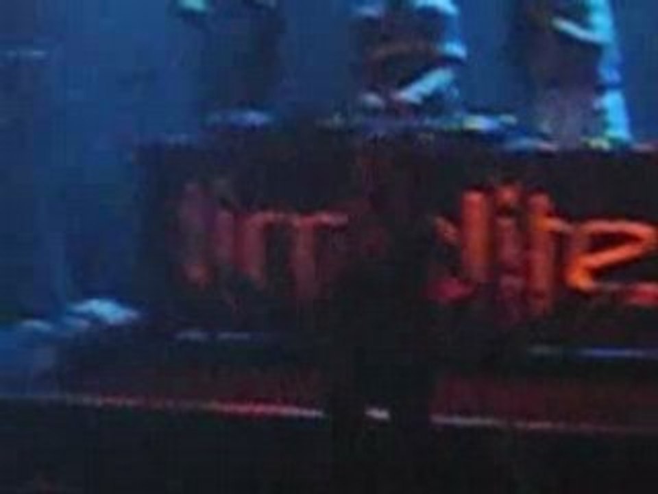 Potbelleez video concert