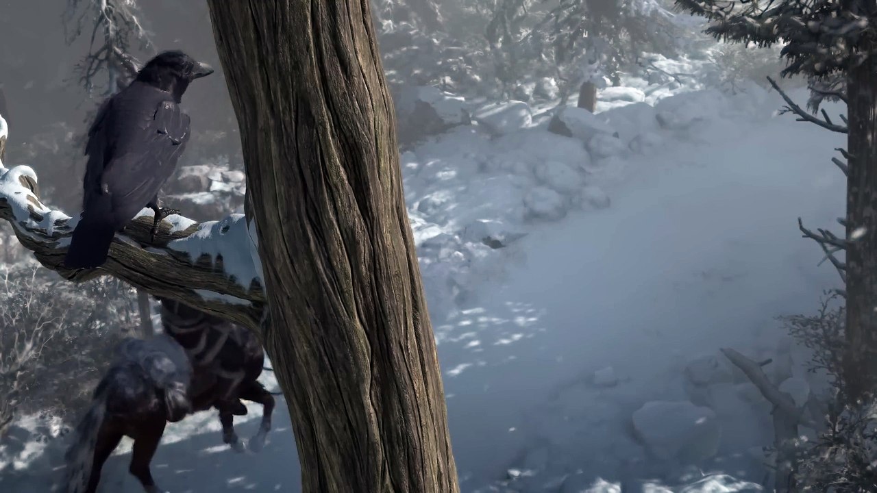 Diablo 4: So sehen die ersten Minuten des Spiels aus