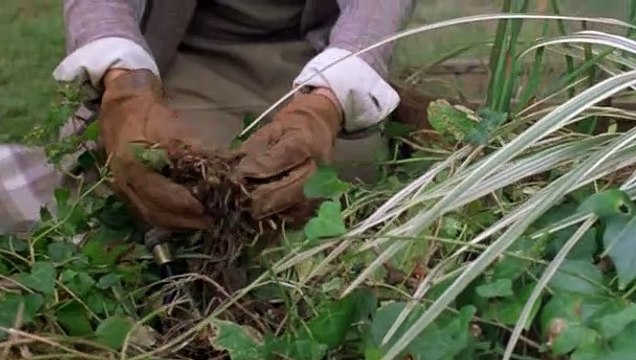 Der Duft von Lavendel (2004) Filme Deustche HD