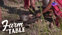The ritual and process behind Igorot’s famous dish, Pinikpikan! | Farm To Table
