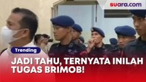 Bikin Gaduh di Sidang Tragedi Kanjuruhan, Apa Sih Tugas Brimob Sebenarnya?