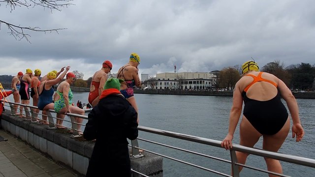 Plus de 100 nageurs ont effectué la Traversée hivernale de la Meuse dans une eau à 7° à Huy