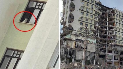 89 kişiye mezar olan sitenin yıkımı camda kurtarılmayı bekleyen kedi nedeniyle durduruldu