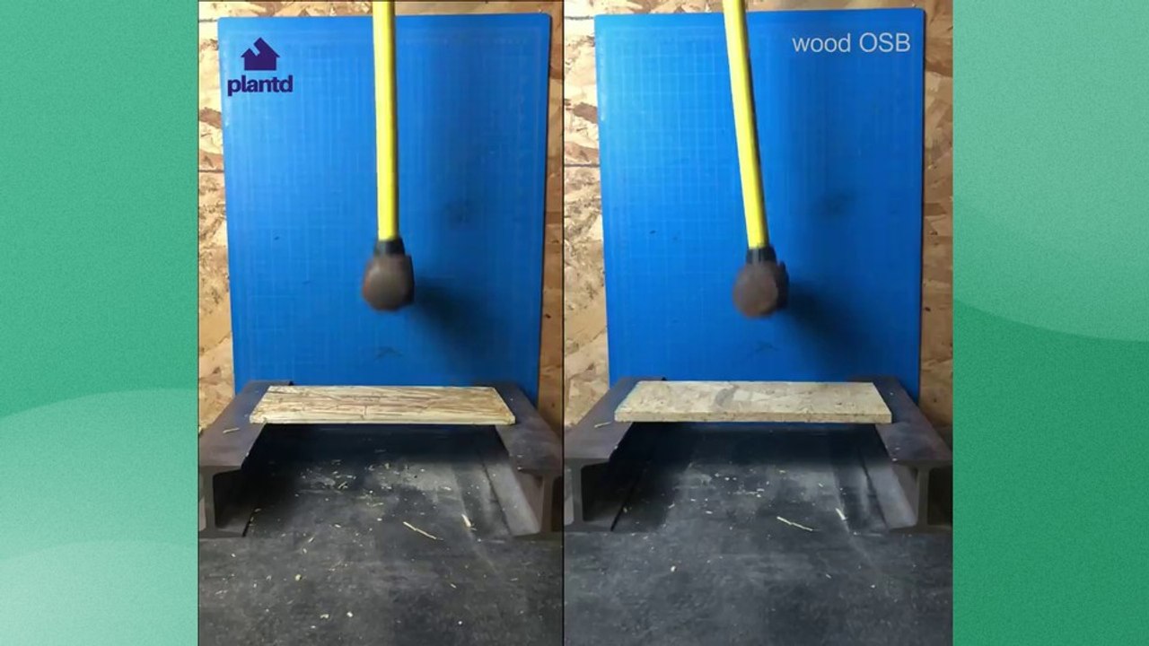 Wand aus Gras gegen Wand aus Holz: Wer gewinnt den Vorschlaghammer-Test?