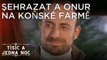 Şehrazat a Onur na koňské farmě | Tisíc a jedna noc Epizoda 11