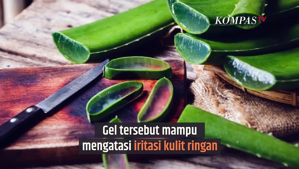 Tips Atasi Gatal di Kulit| SINAU