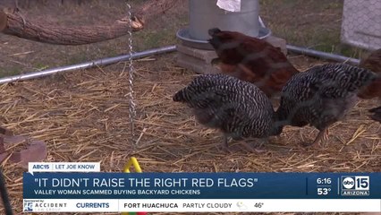 Valley woman falls victim to potential scam posing as chicken hatchery