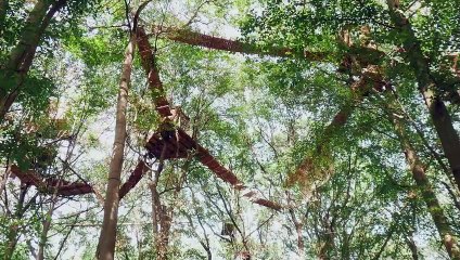 Finite: The Climate of Change | movie | 2023 | Official Featurette