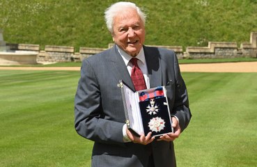 David Attenborough regrets not doing more to protect British wildlife