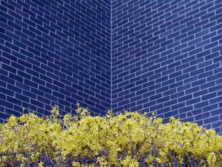 memories/fortress | movie | 2020 | Official Trailer