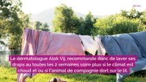 Pourquoi faut-il laver nos draps toutes les deux semaines (grand maximum) ? Un expert répond