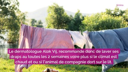 Pourquoi faut-il laver nos draps toutes les deux semaines (grand maximum) ? Un expert répond