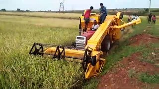 Tractor harvesting rice