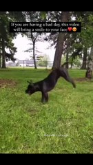 If you are having a bad day, this video will help you smile