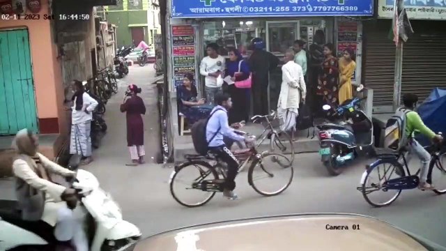 Un éléphant sème la panique en pleine ville