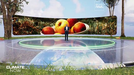 Clima impazzito e agricoltura: gli espedienti per affrontare l'emergenza