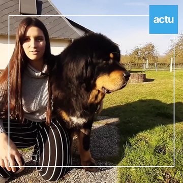 Portrait d'une éleveuse de Dogues du Tibet à Morville-sur-Andelle