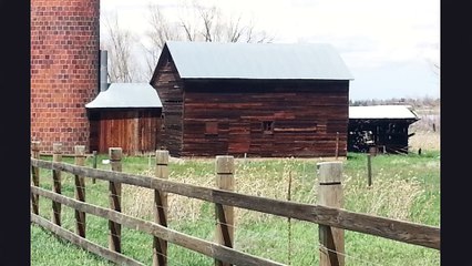 Artistic Marquetry Techniques - Selecting Veneers