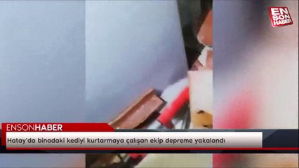 Hatay'da binadaki kediyi kurtarmaya çalışan ekip depreme yakalandı