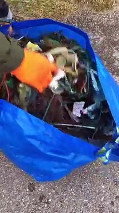 Penally beach litter