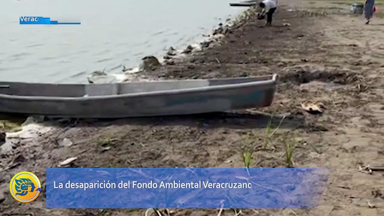 La desaparición del Fondo Ambiental Veracruzano afecta el sistema lagunar