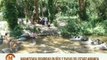 Miranda | En el río Capaya se realizan diversas actividades recreativas para todos los visitantes