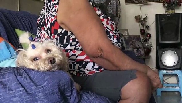 Alimento del alma : ONG ofrece compañía a ancianos abandonados en Venezuela