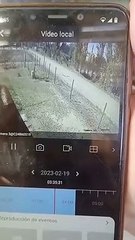 Accidente-movil-chacras