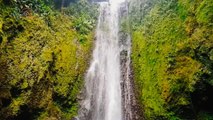 mqn-Familia De Turrialba enamora a visitantes con una catarata, una lechería y buen café-200223