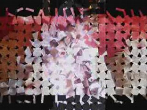 Mariage de mon cousin jonathan et erika le 8 03 2008