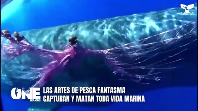 ext-redes-pesca-200223