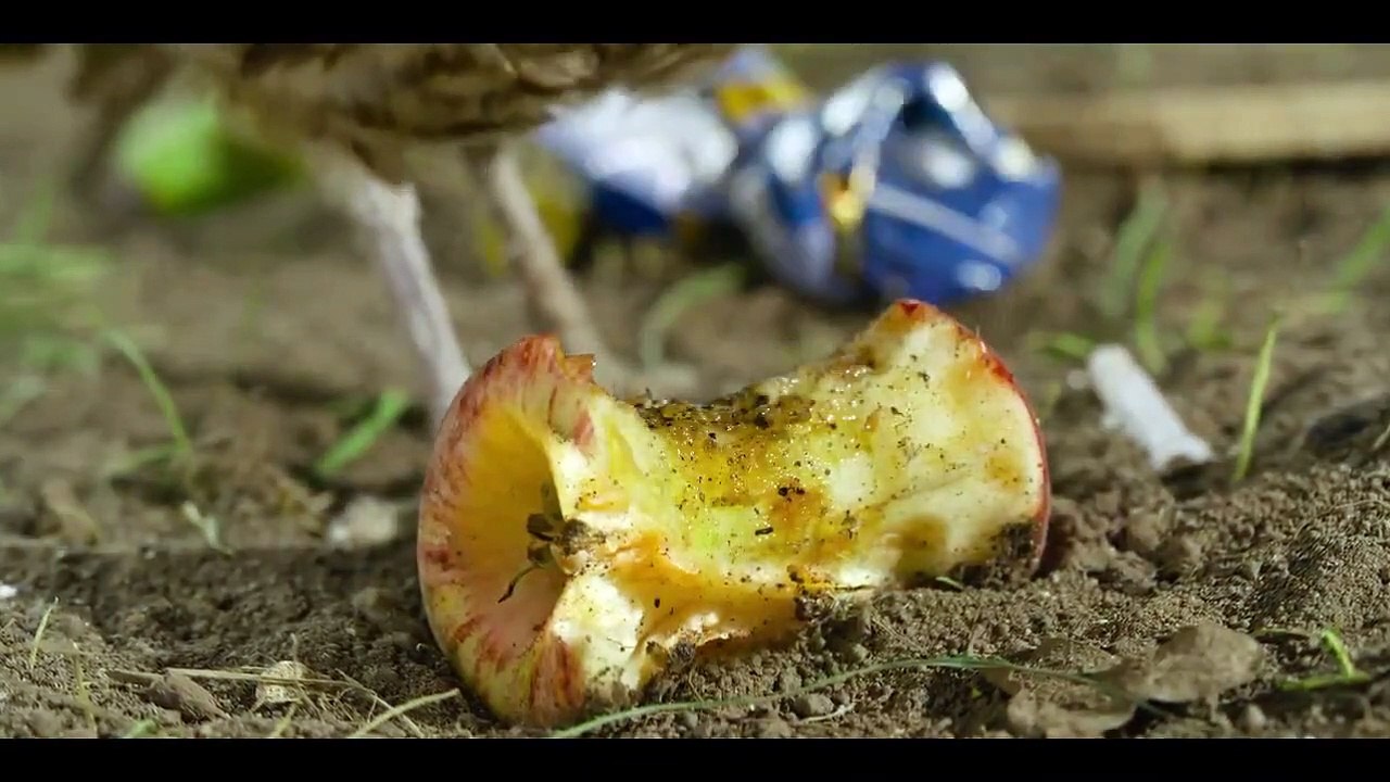 Tiny Creatures - Se1 - Ep03 HD Watch