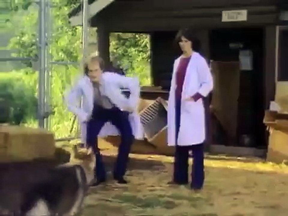 The Littlest Hobo - Se2 - Ep03 HD Watch