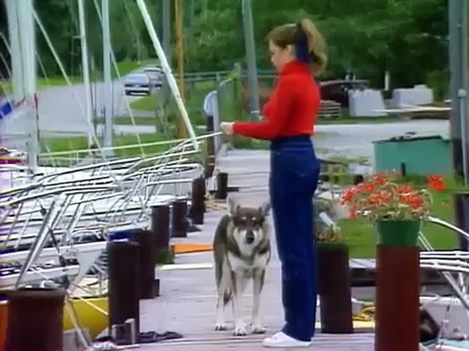 The Littlest Hobo - Se2 - Ep08 HD Watch