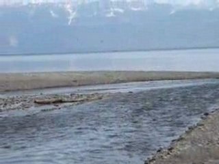 Colvert à contre-courant